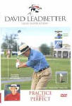 David Leadbetter Practice Makes Perfect